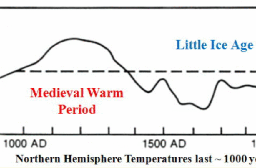 Proxy climatic and environmental changes of the past 1000 years: Climate Change Denial by Willie Soon and Sallie Baliunas